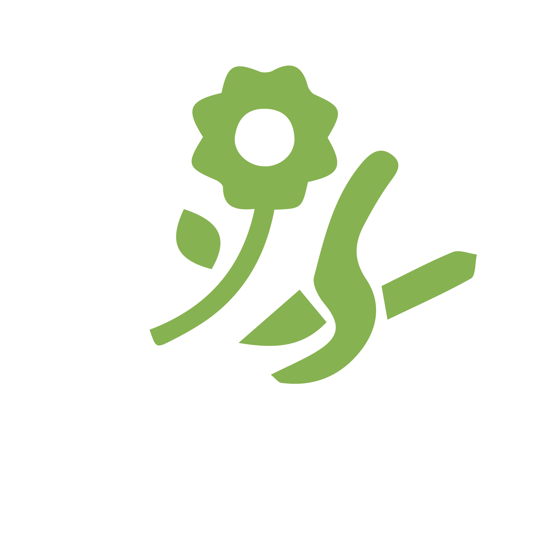 Services Abraham Landscaping