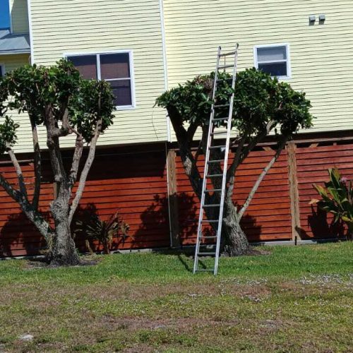 WhatsApp Image 2023-11-08 at 20.08.35