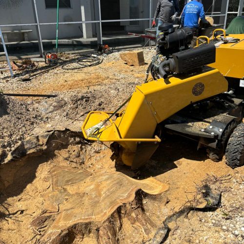 WhatsApp Image 2024-03-15 at 7.39.58 PM