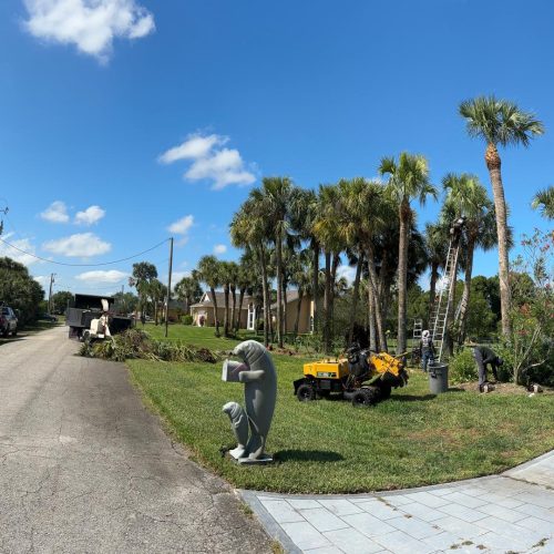 WhatsApp Image 2024-05-26 at 7.55.26 AM (6)