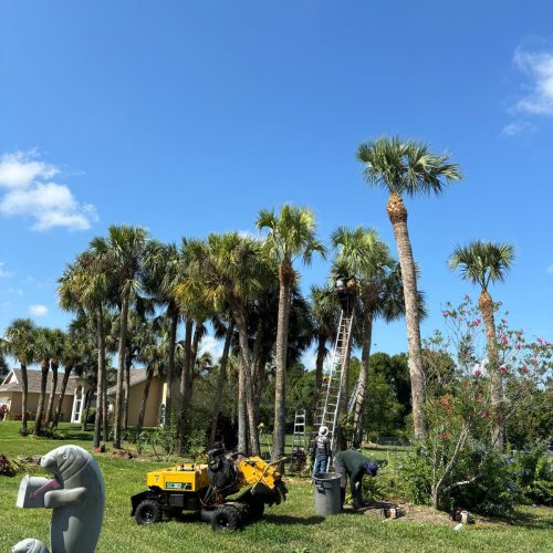 WhatsApp Image 2024-05-26 at 7.55.26 AM (7)