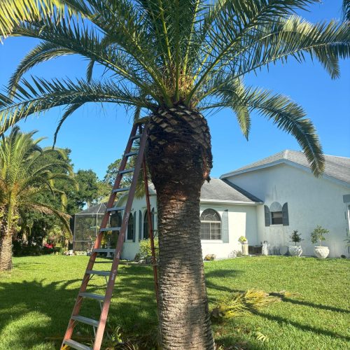 WhatsApp Image 2024-05-26 at 7.55.26 AM