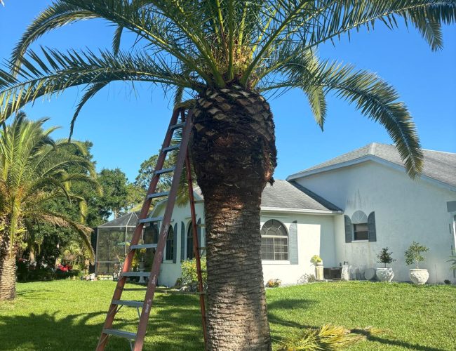 WhatsApp Image 2024-05-26 at 7.55.26 AM