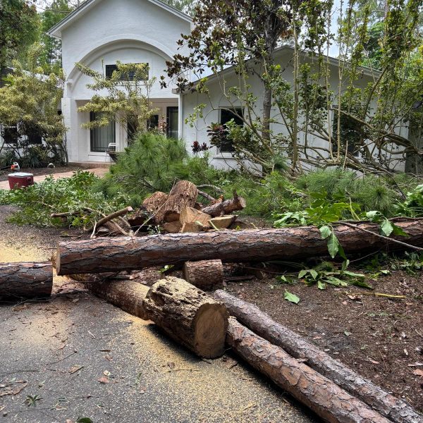 WhatsApp Image 2024-05-26 at 7.55.27 AM (5)