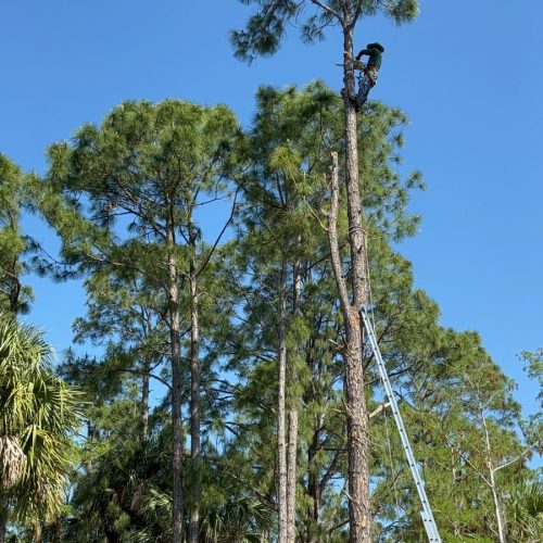 WhatsApp Image 2024-05-26 at 7.55.27 AM (7)